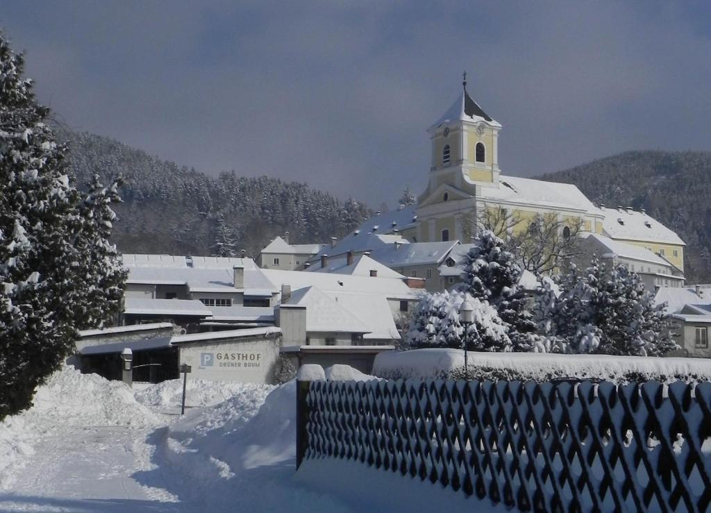Gasthof Gruener Baum Кирхберг-ам-Вексель Экстерьер фото